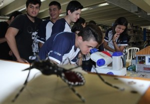 exposição dengue - microscópio