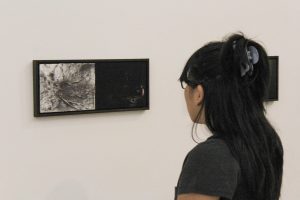 reuniao-do-plano-de-audiovisual-2396