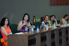 Foto Edemir Rodrigues (13)