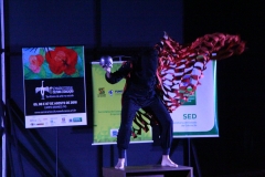 Foto Edemir Rodrigues (19)