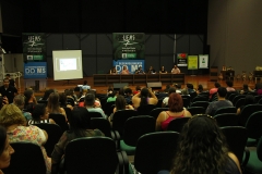 Foto Edemir Rodrigues (3)