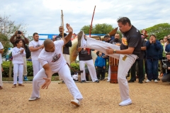 WhatsApp-Image-2024-08-25-at-12.12.11-1