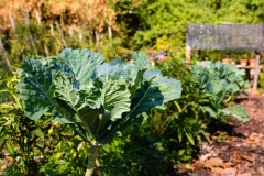 WhatsApp-Image-2024-08-23-at-14.53.29