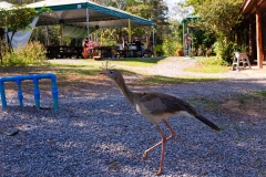 WhatsApp-Image-2024-08-23-at-14.53.33-1