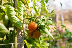 WhatsApp-Image-2024-08-23-at-14.53.33