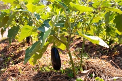 WhatsApp-Image-2024-08-23-at-14.53.35-3