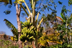 WhatsApp-Image-2024-08-23-at-14.53.36-1