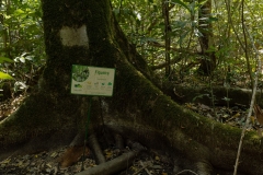 WhatsApp-Image-2024-08-23-at-14.53.36-2