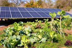 WhatsApp-Image-2024-08-23-at-14.53.36