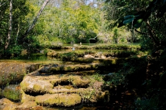 WhatsApp-Image-2024-08-23-at-14.53.37