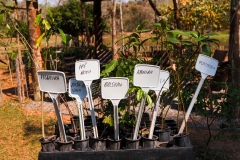 WhatsApp-Image-2024-08-23-at-14.53.38