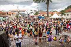 carnaval-domingo-1587