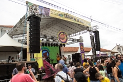 carnaval-domingo-1607