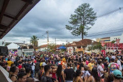 carnaval-domingo-1613