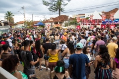 carnaval-domingo-1615