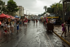 carnaval-domingo-1649