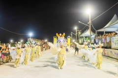 carnaval-desfile-das-escolas-de-samba-segundo-dia-3694