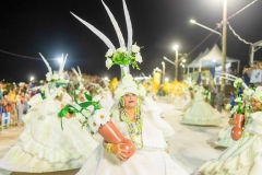 carnaval-desfile-das-escolas-de-samba-segundo-dia-3718