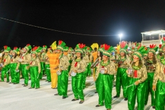 carnaval-desfile-das-escolas-de-samba-segundo-dia-3728