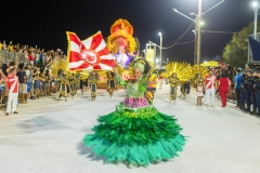carnaval-desfile-das-escolas-de-samba-segundo-dia-3824