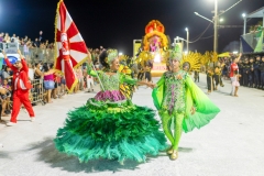 carnaval-desfile-das-escolas-de-samba-segundo-dia-3833