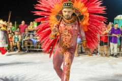 carnaval-desfile-das-escolas-de-samba-segundo-dia-3858