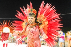 carnaval-desfile-das-escolas-de-samba-segundo-dia-3864