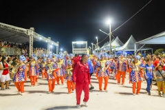 carnaval-desfile-das-escolas-de-samba-segundo-dia-3942