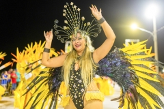 carnaval-desfile-das-escolas-de-samba-segundo-dia-4115
