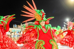 carnaval-desfile-das-escolas-de-samba-segundo-dia-4195