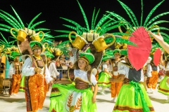 carnaval-desfile-das-escolas-de-samba-segundo-dia-4205