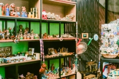 casa-do-artesao-centro-e-bioparque-8198