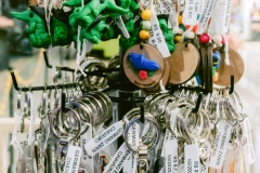 casa-do-artesao-centro-e-bioparque-8201