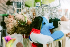 casa-do-artesao-centro-e-bioparque-8202