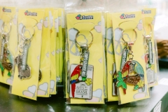 casa-do-artesao-centro-e-bioparque-8203