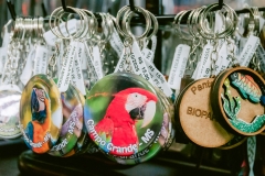 casa-do-artesao-centro-e-bioparque-8206