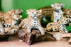 casa-do-artesao-centro-e-bioparque-8210