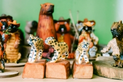 casa-do-artesao-centro-e-bioparque-8211