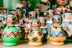 casa-do-artesao-centro-e-bioparque-8212