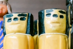 casa-do-artesao-centro-e-bioparque-8214