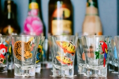 casa-do-artesao-centro-e-bioparque-8218