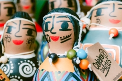 casa-do-artesao-centro-e-bioparque-8220