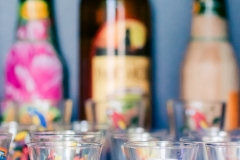 casa-do-artesao-centro-e-bioparque-8227