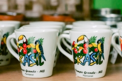 casa-do-artesao-centro-e-bioparque-8229