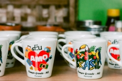 casa-do-artesao-centro-e-bioparque-8230