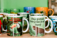 casa-do-artesao-centro-e-bioparque-8231