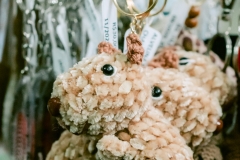 casa-do-artesao-centro-e-bioparque-8234