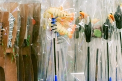 casa-do-artesao-centro-e-bioparque-8237