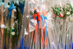 casa-do-artesao-centro-e-bioparque-8238