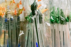 casa-do-artesao-centro-e-bioparque-8239